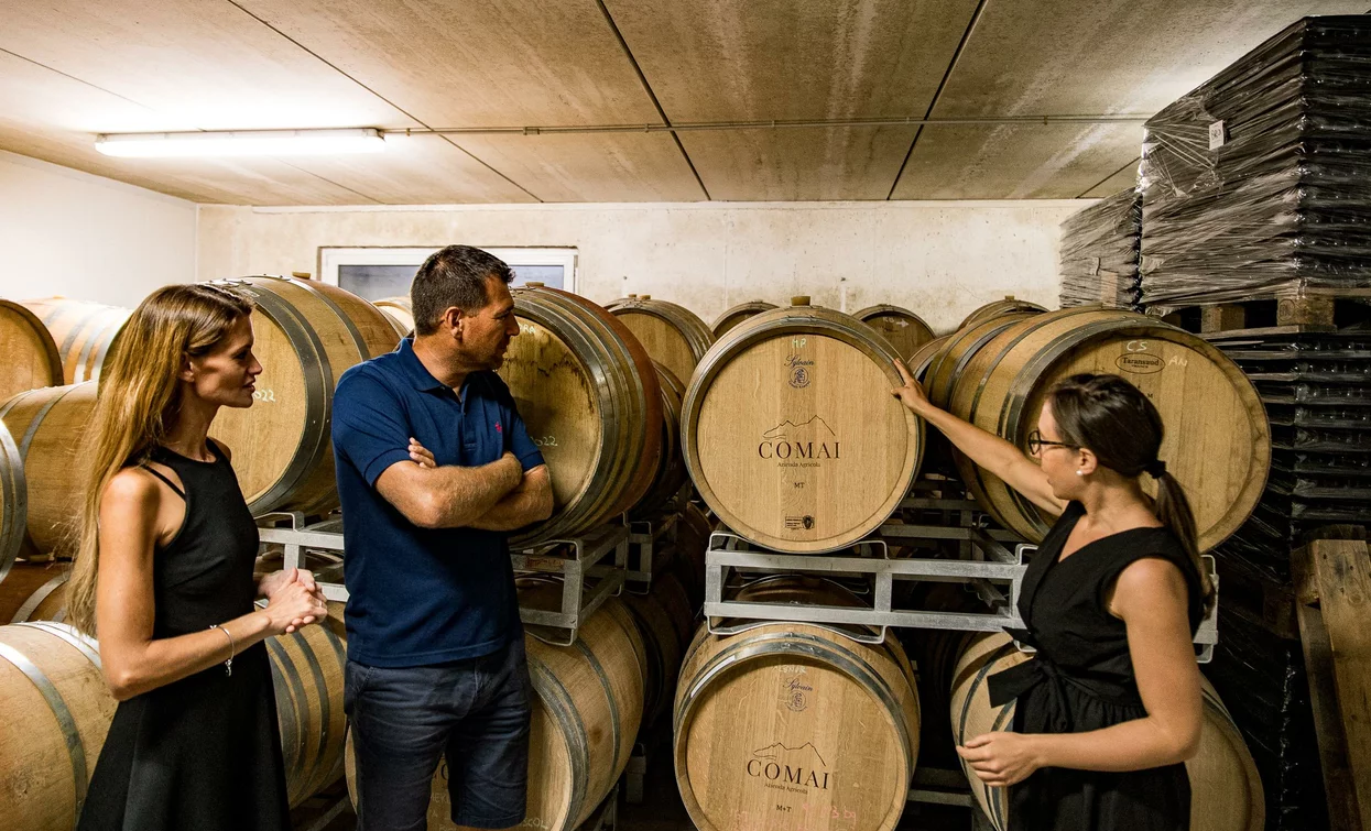 A visit to a winery with three people observing wine barrels. The atmosphere is informative and welcoming.