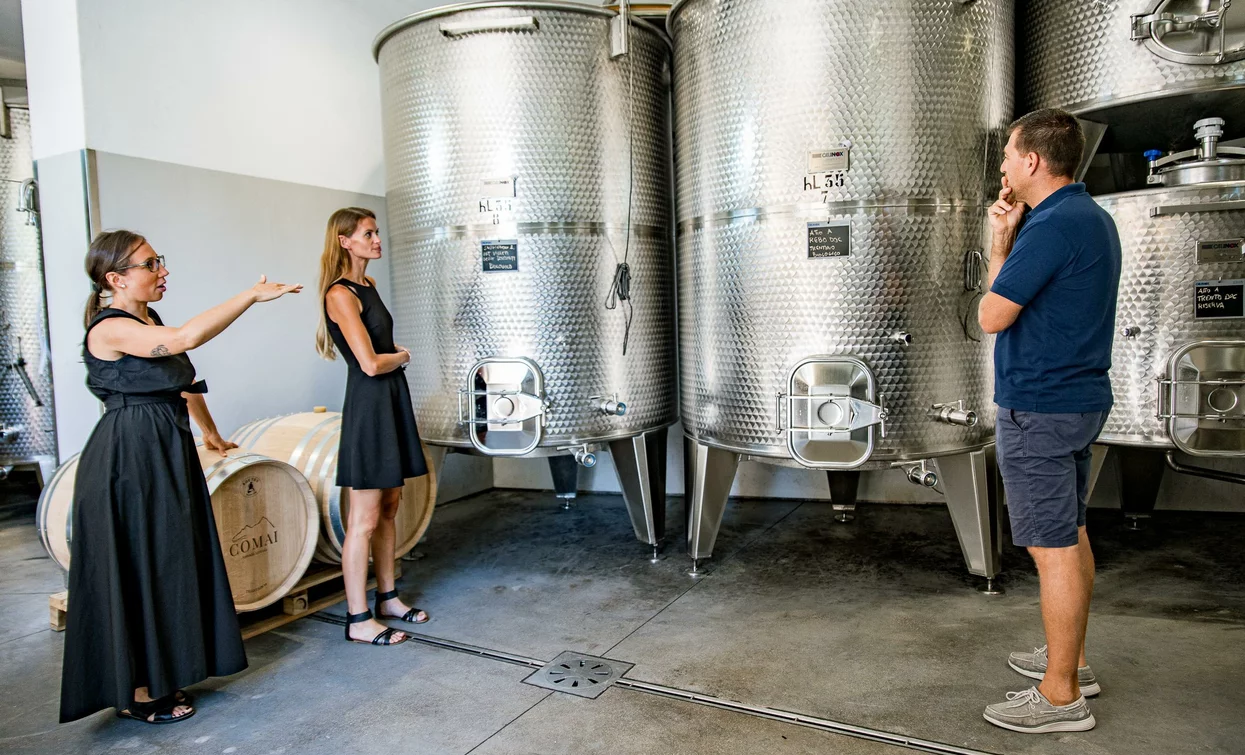 Two women in elegant outfits are talking to a man, in front of large metal tanks. The environment appears to be a modern winery.
