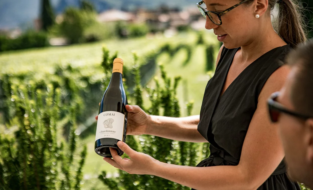 A woman presents a bottle of wine in a vineyard. In the background, rows of vines and a hilly landscape can be seen.
