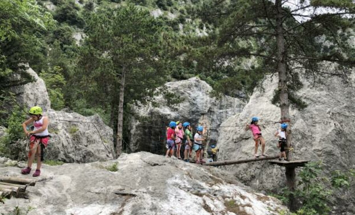 Eine Gruppe von Kindern in einem Außenkletterbereich, die Helme und Gurte tragen. Sie sind von Felsen und grünen Bäumen umgeben, während einige eine Holzbrücke überqueren.