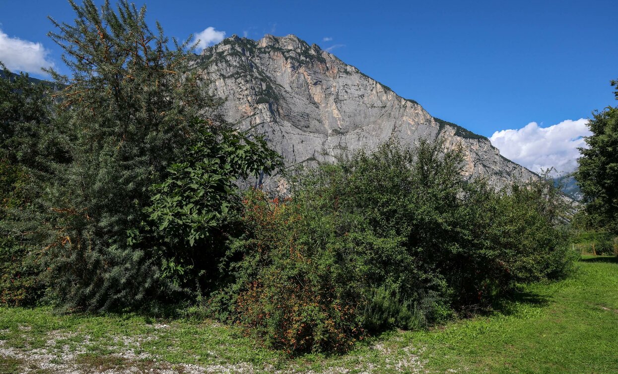 An imposing mountain rises in the background, surrounded by lush vegetation. The sky is clear and blue, creating a striking contrast.