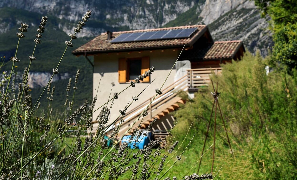 A house immersed in nature with mountains in the background. The garden is characterized by lavender plants and a blue sky.