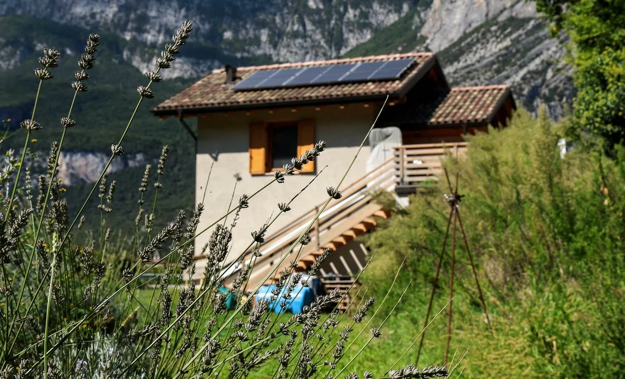 Una casa immersa nella natura con montagne sullo sfondo. Il giardino è caratterizzato da piante di lavanda e un cielo azzurro.