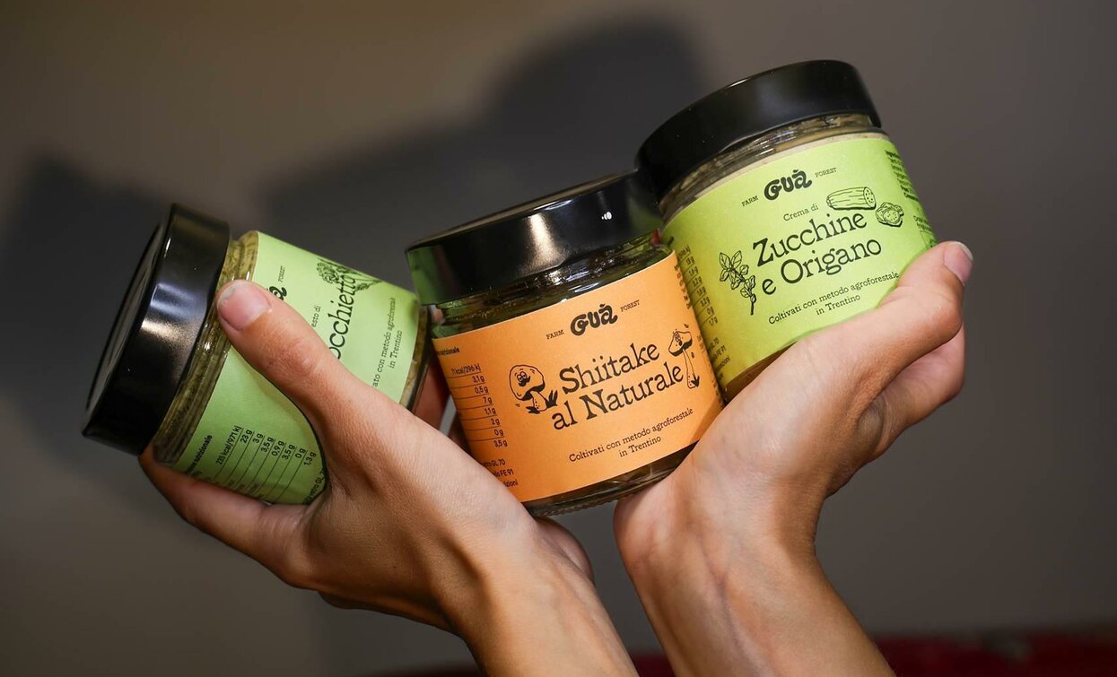Three jars of spices are being held in hand. The colors of the jars are green, orange, and light green, with clear labels.